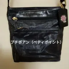 プチポアン（ペティポイント）ショルダーバッグ