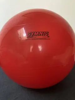 バランスボール エクササイズグッズ