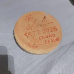 SSTR 2026 記念ウッドコースターのサムネイル