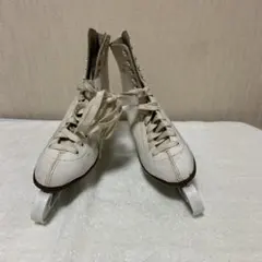 Item thumbnail for item 1a1db80d-3d12-46f2-a062-3a6ae74f31ad