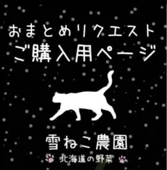 コメオ様 リクエスト 3点 まとめ商品
