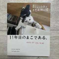 Item thumbnail for item 529ebe88-a242-4447-84ea-3570ba73da56