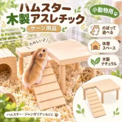 2026年最新】ハムスターケージの人気アイテム - メルカリ