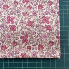 T60 Meadow メドウ 108×52cmリバティ タナローン 45g