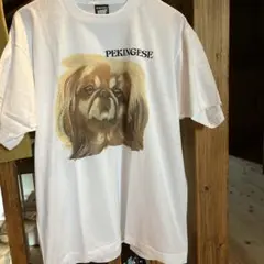 Item thumbnail for item d0558c33-d8b8-4b30-8504-0741ef46ea46