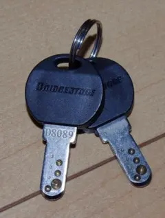 Item thumbnail for item b51dc379-62e3-427e-9eba-34b9ab978e5e