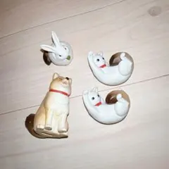 たぬきじゃないもん！！ ガチャガチャ 動物 雑貨