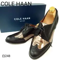 Item thumbnail for item 0989c2ec-ac0e-48c5-8aec-9496bf8f615d