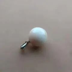 2026年最新】鯨歯 クジラの人気アイテム - メルカリ