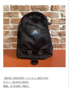 別注】GREGORY メッシュNICE DAY ビームス - メルカリ