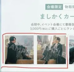 コントラスト 公式ビジュアルブック 特典ポストカードつき 井内悠陽