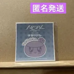 SEVENTEEN FUKUOKA ボンボンイステッカー