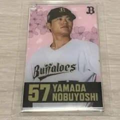 Item thumbnail for item 1cfc5fc0-fc26-435b-9680-59ca8148293e