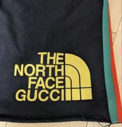 THE NORTH FACE GUCCI ショートパンツのサムネイル