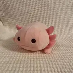 【希少　レア　もちっこ！マリン】ウーパーさん　ぬいぐるみ　ウーパールーパー