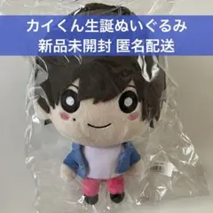 2026年最新】超特急 ぬいぐるみ カイの人気アイテム - メルカリ