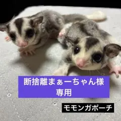 2026年最新】断捨離の人気アイテム - メルカリ