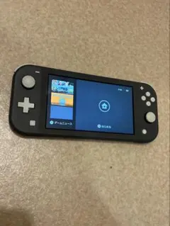 Nintendo Switch Lite 本体 グレー