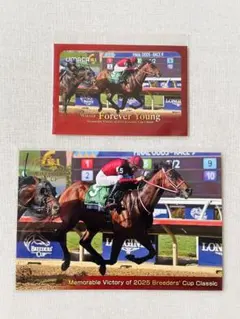 2026年最新】ブリーダーズカップの人気アイテム - メルカリ