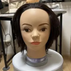 Item thumbnail for item efbf3409-63e9-4c7f-a406-6f0e36157dc6