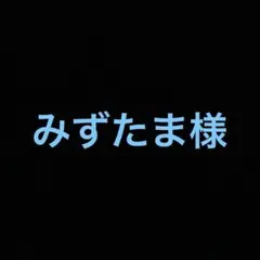 みずたま様 リクエスト 2点 まとめ商品
