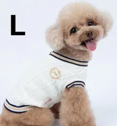 Item thumbnail for item e98d9e06-83f9-4e50-a899-501b1912cd13