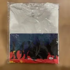 OUTO Tシャツ 復刻 希少 80'sジャパニーズハードコア Lサイズ - メルカリ