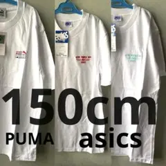 C ３枚セット販売　PUMA asics150cm まとめ売り　シミあり