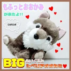 もふっとオオカミが来たよ　ウルトラBIG　ぬいぐるみ　シベリアオオカミ　ロボロボ