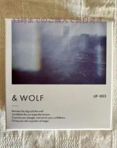 UF-003　Nオーガニック ＆WOLF　UVセラムリキッドファンデーション