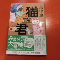 Item thumbnail for item 87afec70-d318-4e65-aa5a-755133cd5aa8