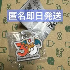 ポケモン 30周年記念 メタルチャームマスコット リザードン