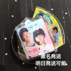 近本　中野　阪神タイガース 2ショットアクリルキーホルダー　ガチャガチャ