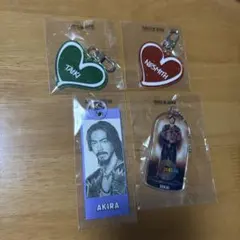 EXILE THE REASON ライブツアー　ガチャ