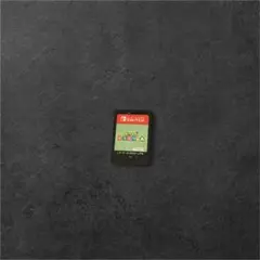 即購入OK 24時間以内発送 あつまれどうぶつの森