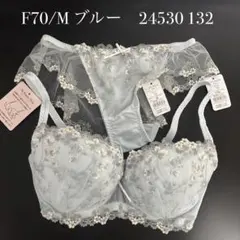 ブルー　F70/M ナルエー　ブラショーツセット 24530 132のサムネイル