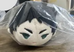 赤葦 もちマス Amazon.co.jp: ハイキュー?? もちもちマスコット もちマス赤葦京