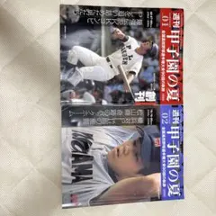 週刊甲子園の夏 20冊 ボックス型専用ファイル付 池田高校 水野 江上
