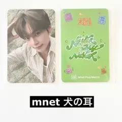 ゼベワン　トレカ　子犬　犬の耳　mnet