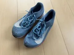 Item thumbnail for item e4cb39dc-2790-4233-a546-7819e3d0aeba