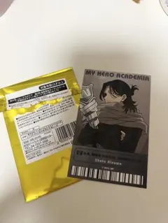 僕のヒーローアカデミア オープンスクール 相澤消太 カード2枚セット