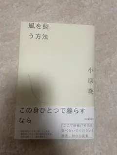 風を飼う方法