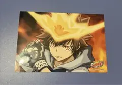 家庭教師ヒットマンREBORN 沢田綱吉 ジャンフェス 生ブロマイド