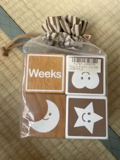 Item thumbnail for item 0c83712b-fdf9-4c56-9d39-fbf4f16922bf