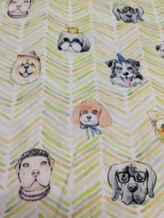 セール！生地140 犬　綿100% シーチング　横110cm 縦1m