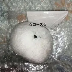 相葉雅紀「僕とシッポと神楽坂」マスコット ダイキチ キーチェーン
