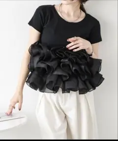 超美品　AMELY by La-gemme オーガンジーボリュームフリルトップスのサムネイル