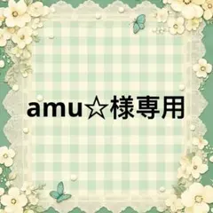 amu☆ 様　專用