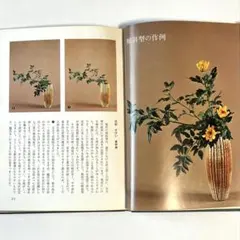 2025年最新】小原流の人気アイテム - メルカリ