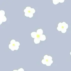 たたっきうまいき様 リクエスト 3点 まとめ商品